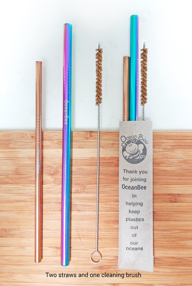 Metal Straws-Smoothie & Cocktail Set of 2 with Cleaning Brush